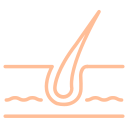 background shape